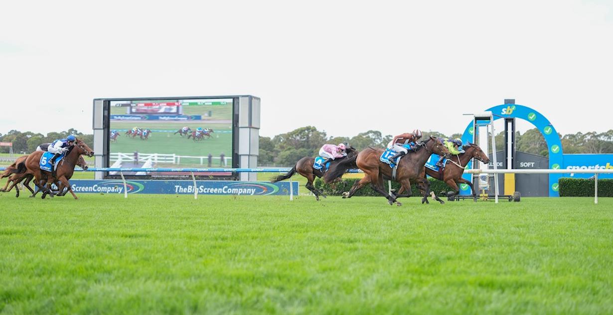Divine Dot - Sandown 23rd May 2026